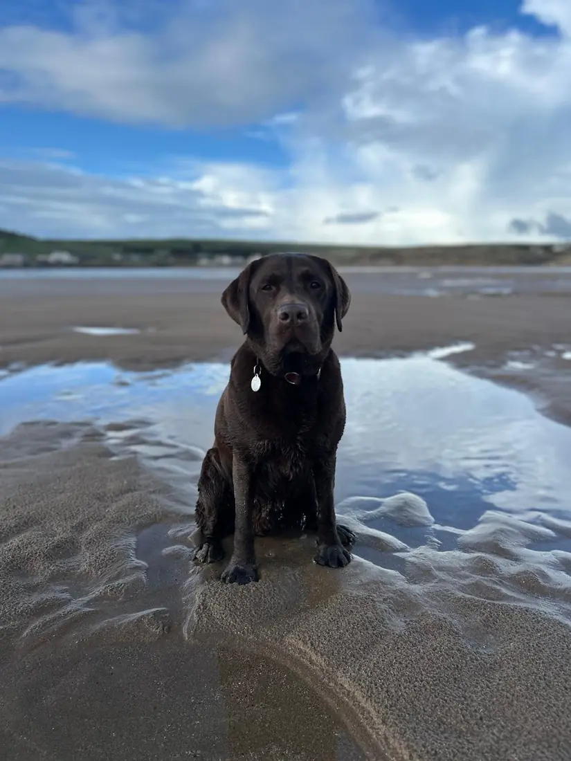 Byron standing on wet sand at low tide under a big sky