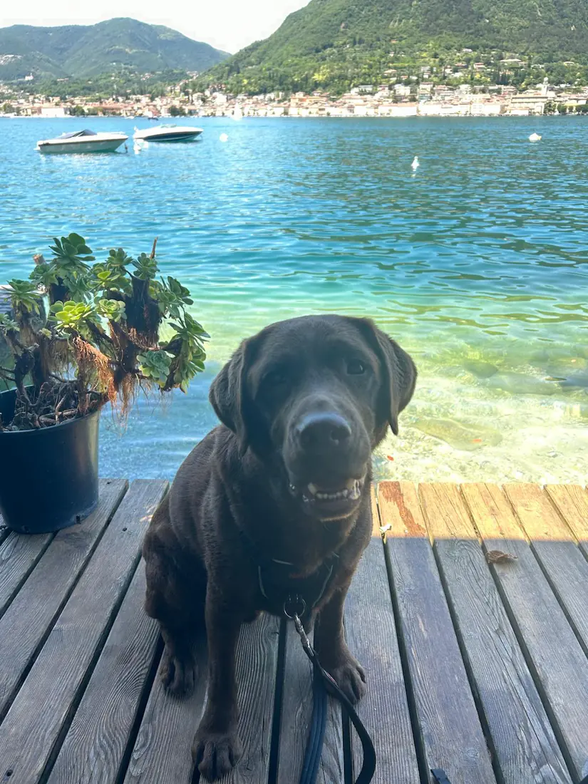 Byron sitting on a jetty in front of a turquoise lake
