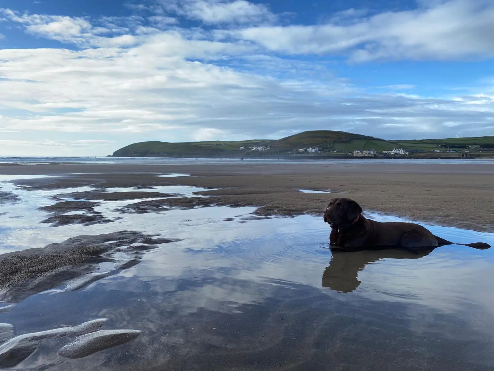 Byron lying down in shallow seawater